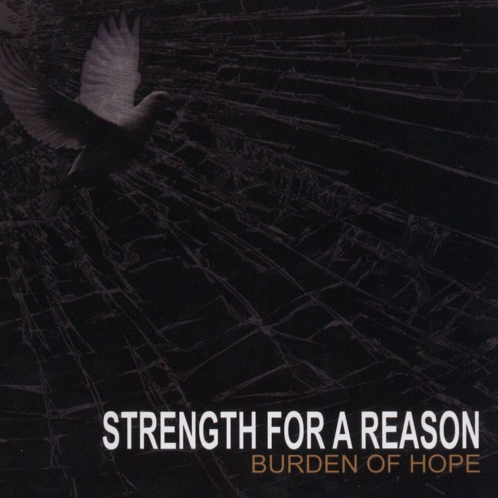 Picture of Strength For A Reason