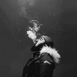 Picture of Ay Em