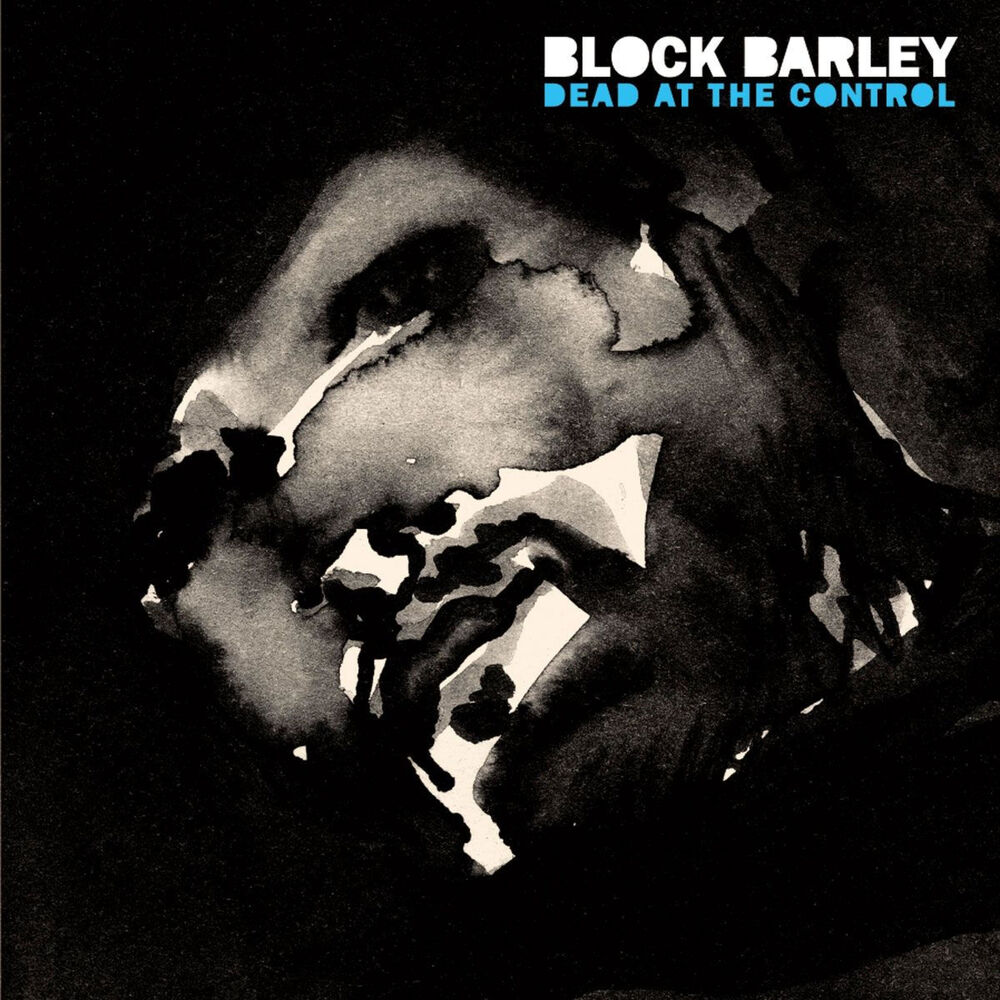 Picture of Block Barley