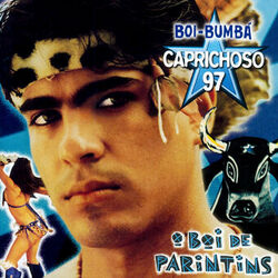 Picture of Boi Bumbá Caprichoso
