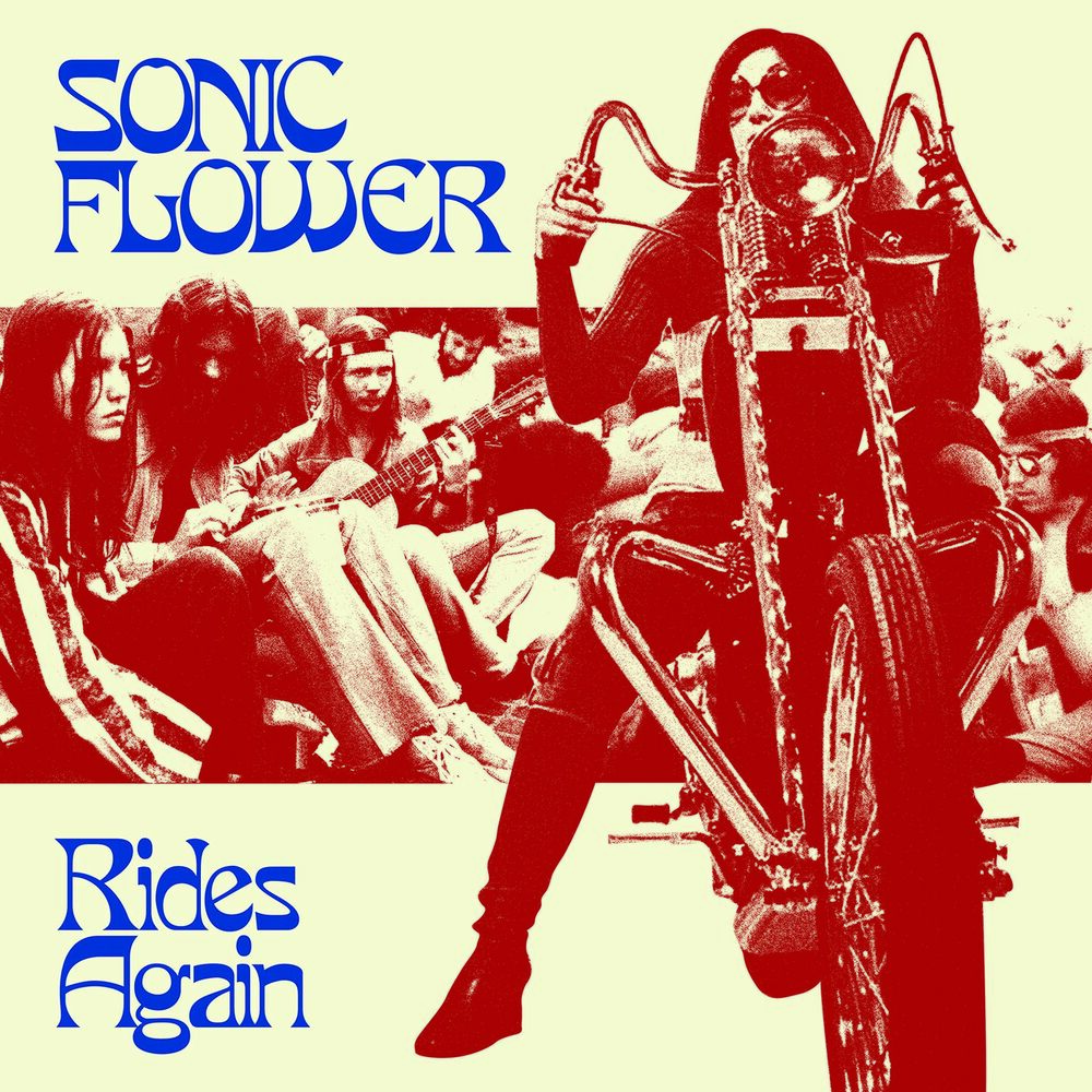 Picture of Sonic Flower