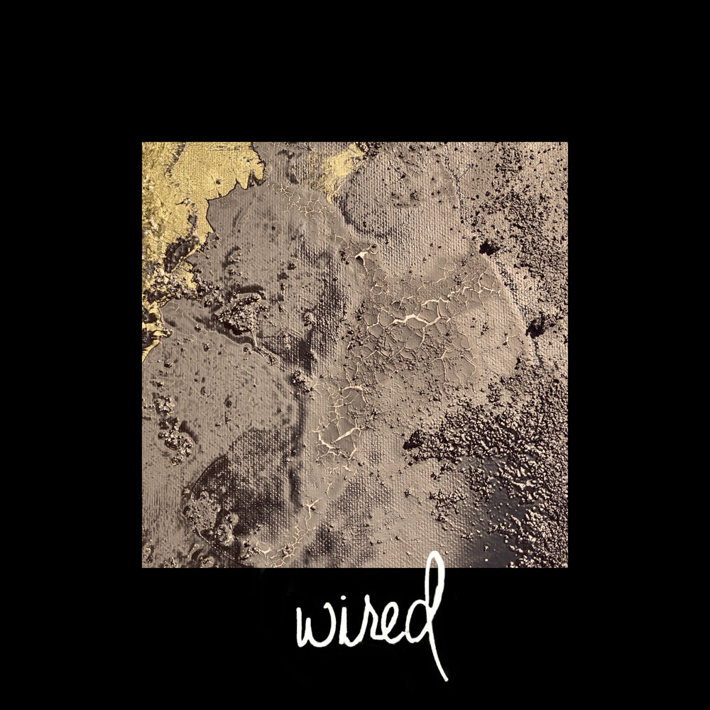 Photo de l'artiste Notre Dame