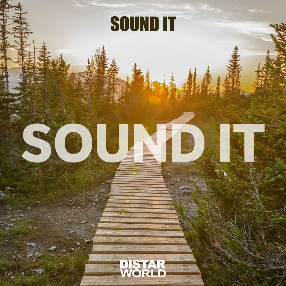 Picture of Soundit