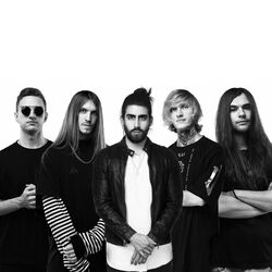 Picture of Shrezzers