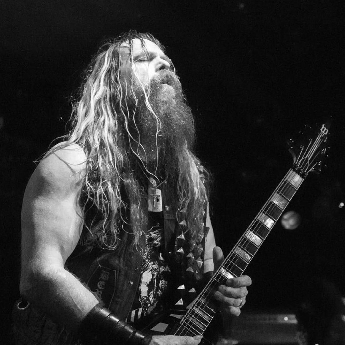 Artist picture of Zakk Sabbath