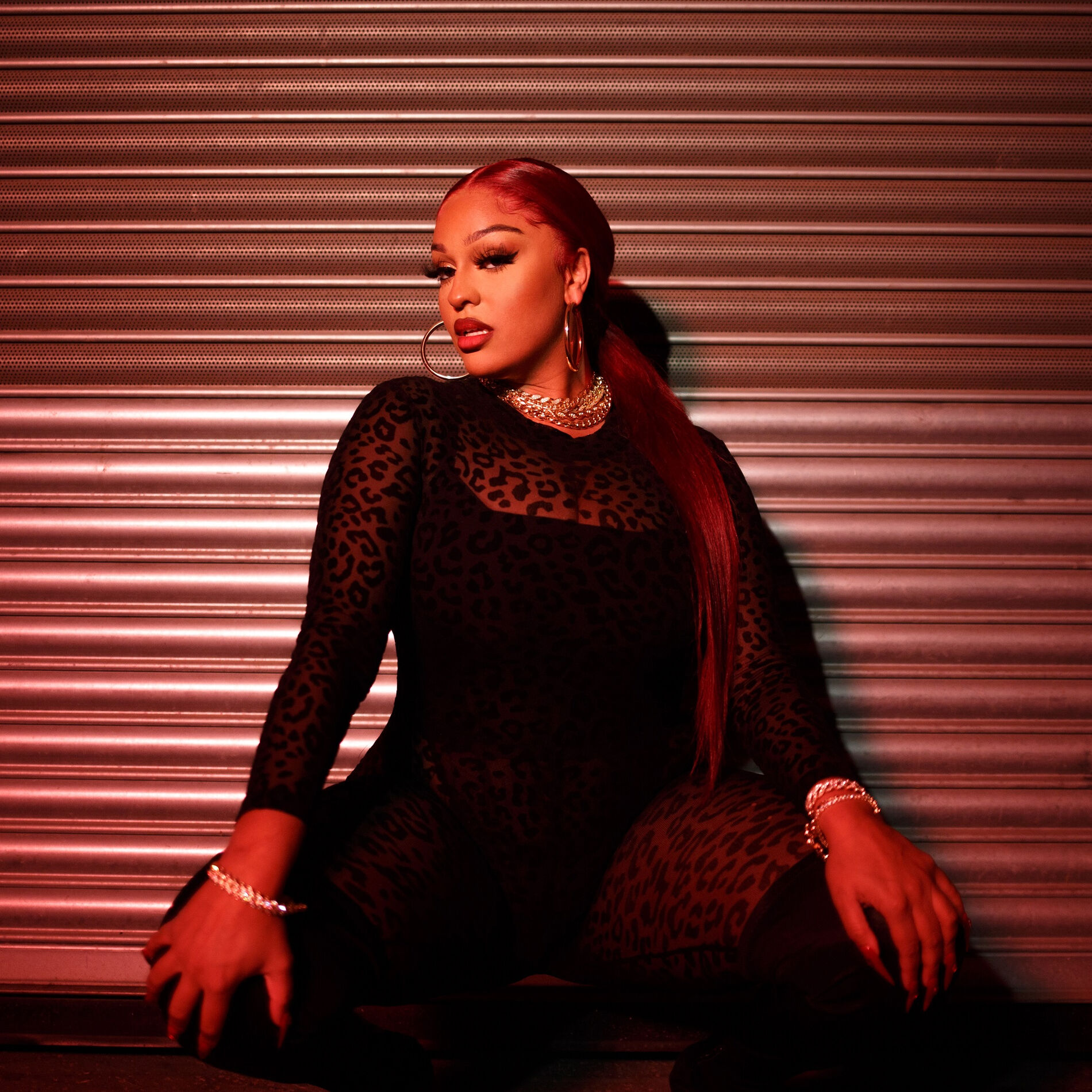 Artist picture of Miss Lafamilia