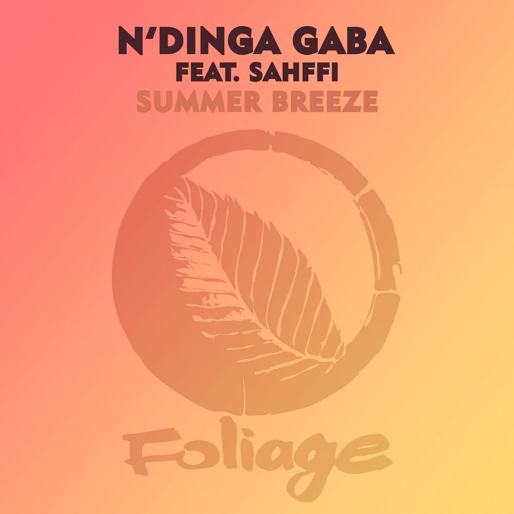 Picture of N'Dinga Gaba