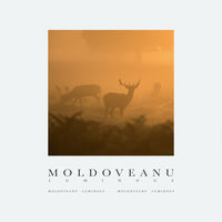 Moldoveanu