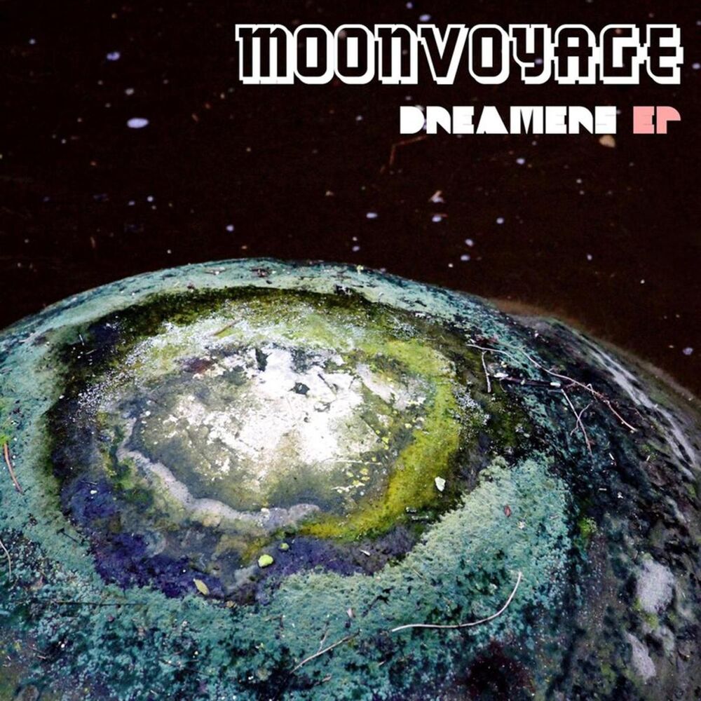 Picture of Moon Voyage