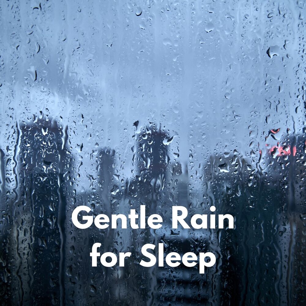 Picture of Forest Rain FX