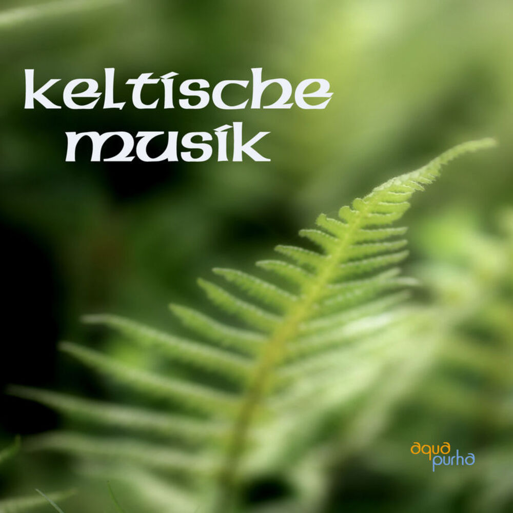 Picture of Keltische Musik Band