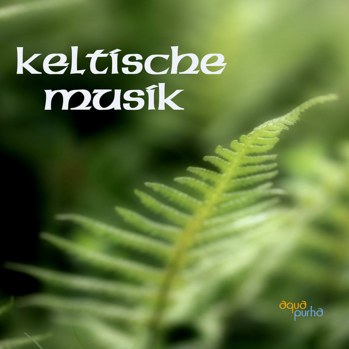 Keltische Musik Band