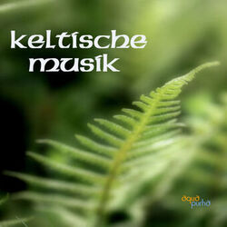 Picture of Keltische Musik Band