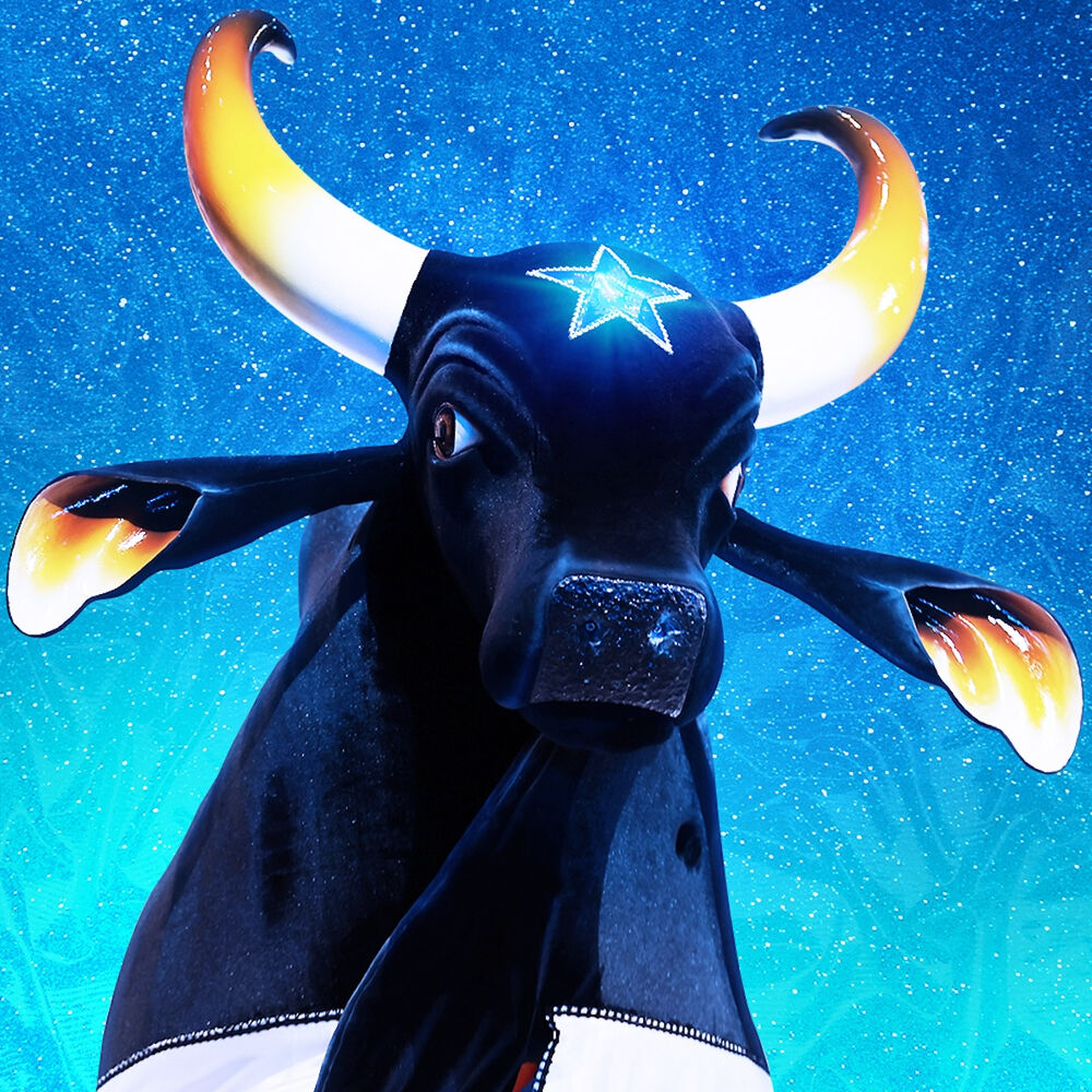 Picture of Boi Bumbá Caprichoso