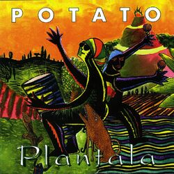 Picture of Potato