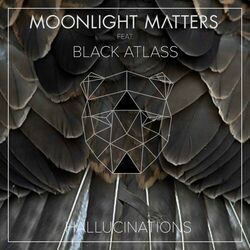 Picture of Moonlight Matters