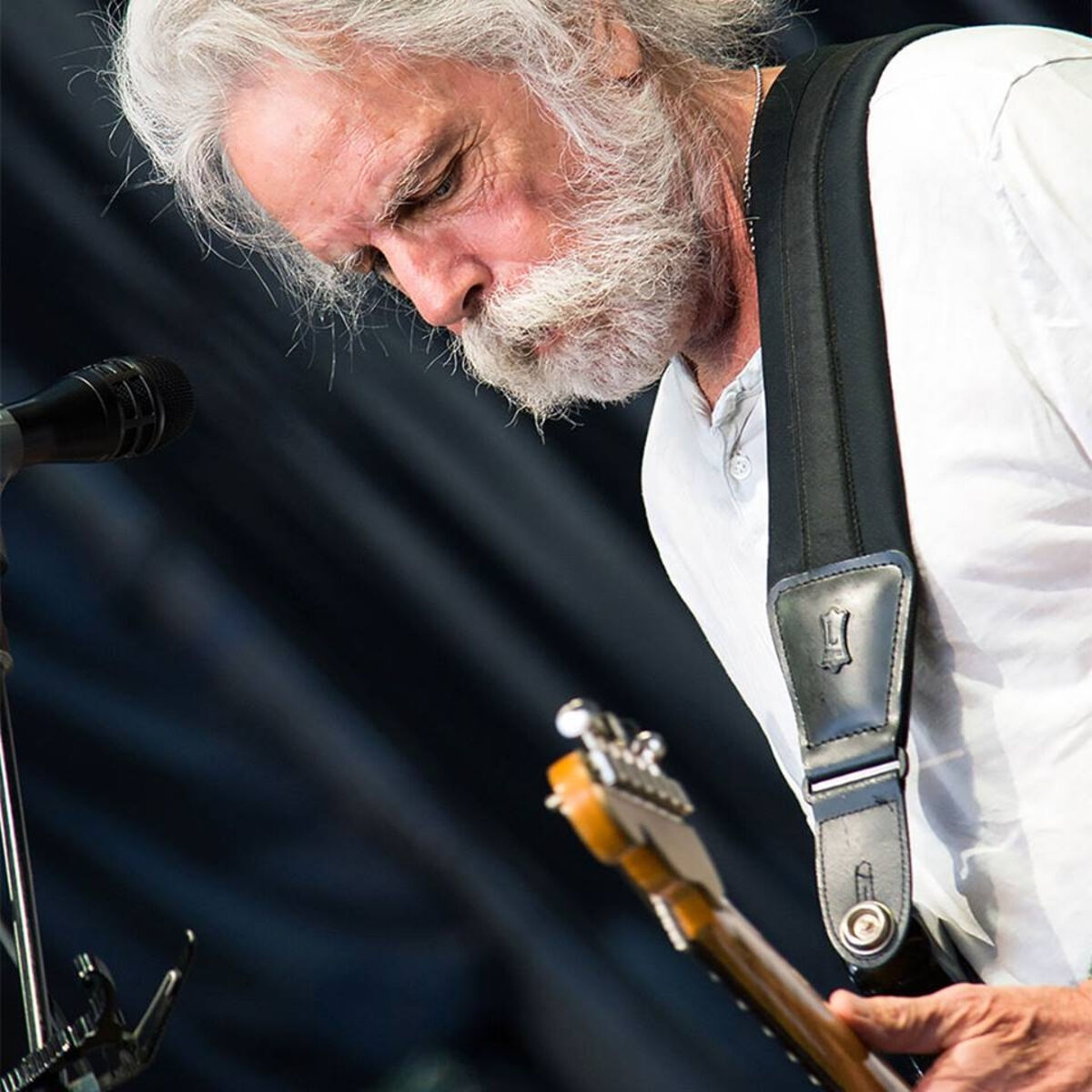 Artist picture of Bob Weir