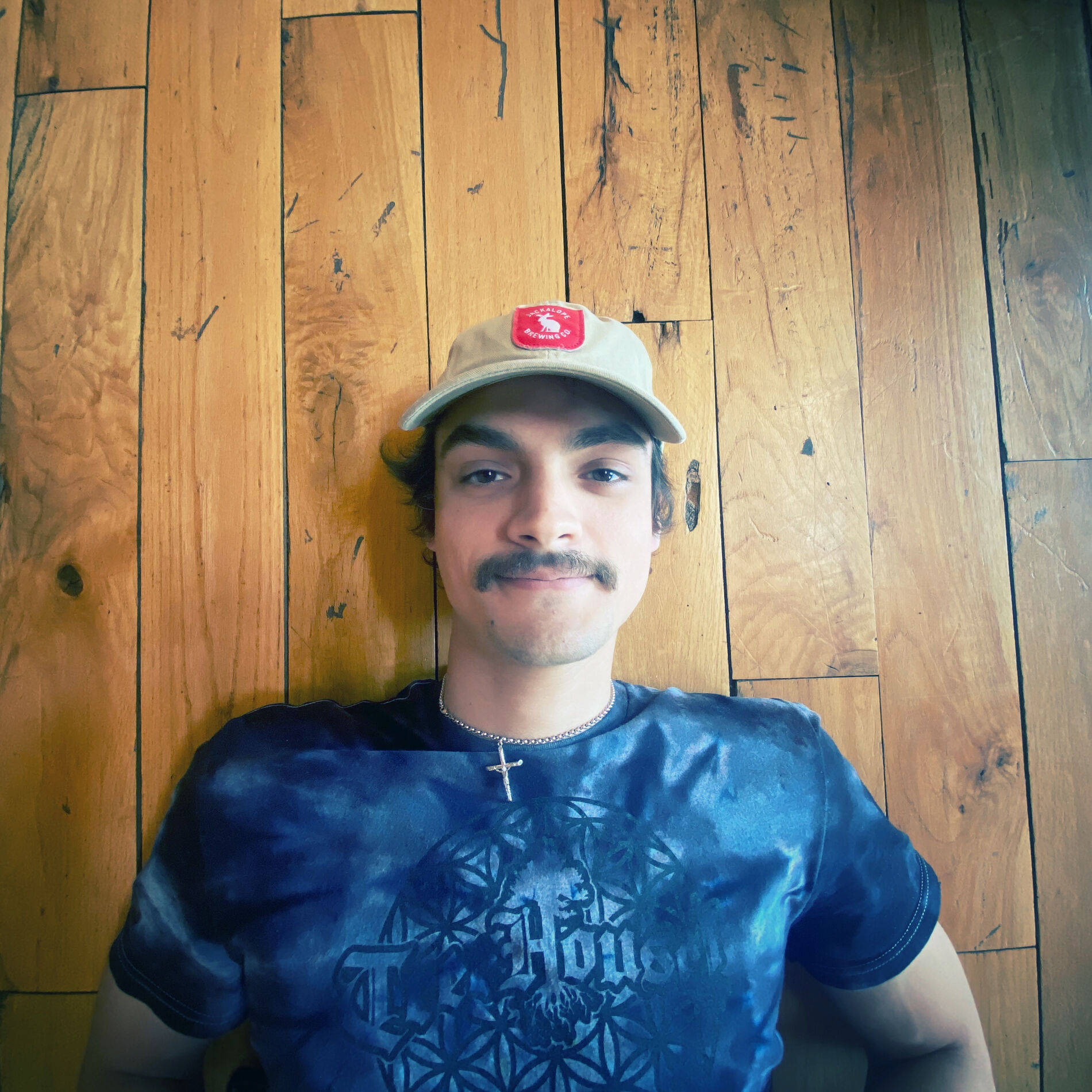 Artist picture of Mellodose