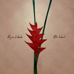 Picture of Rayan Labiche