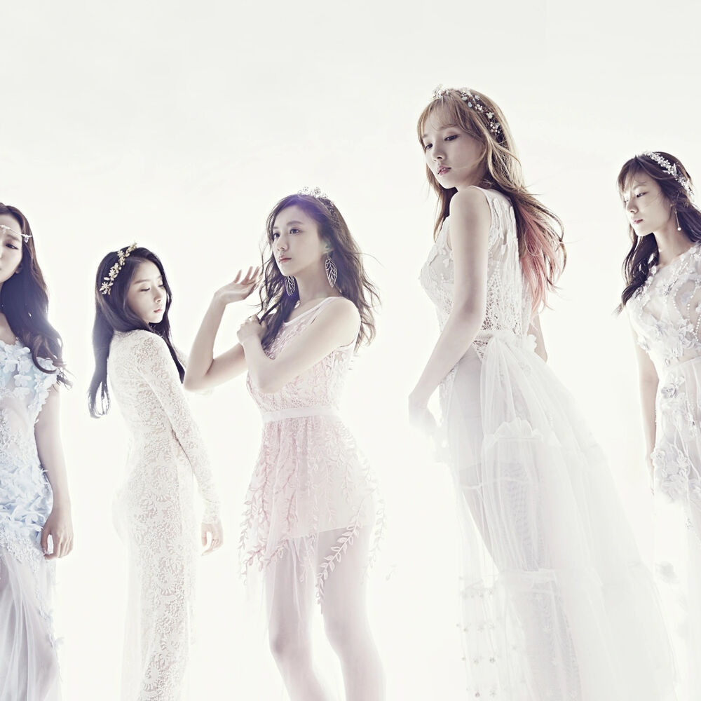 Picture of 스텔라