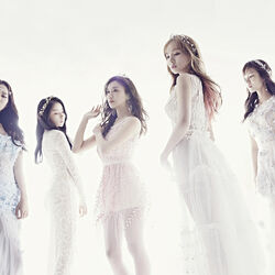 Picture of 스텔라