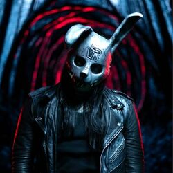 Picture of Dead Rabbitts