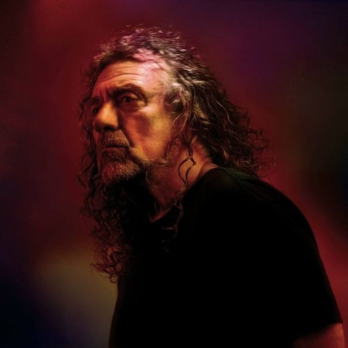 Artist picture of Robert Plant