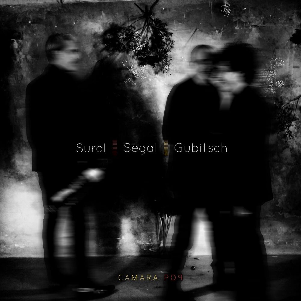 Picture of Sébastien Surel