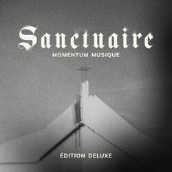 Picture of Momentum Musique
