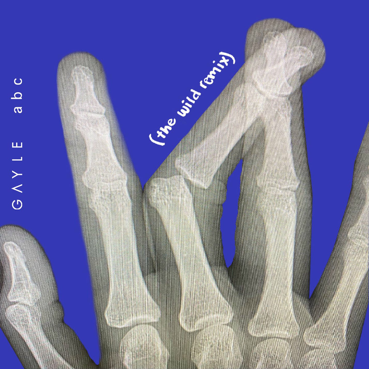 Artist picture of The Wild