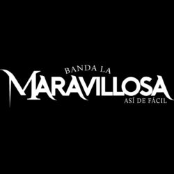 Picture of Banda La Maravillosa