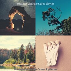 Picture of Musique Matinale Calme Playlist