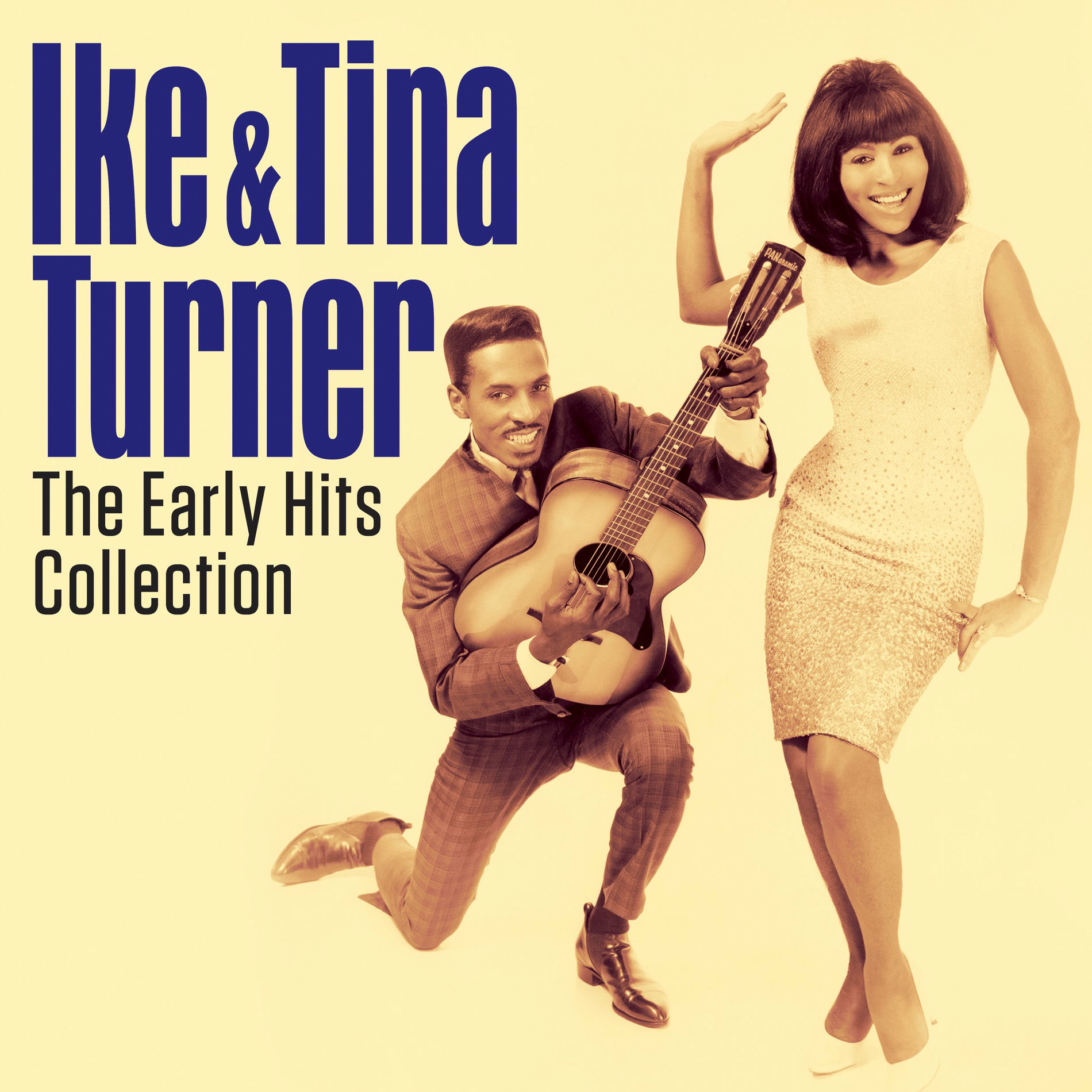Artist picture of Ike and Tina Turner