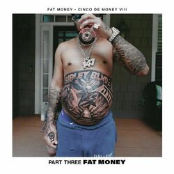 Picture of FAT MONEY