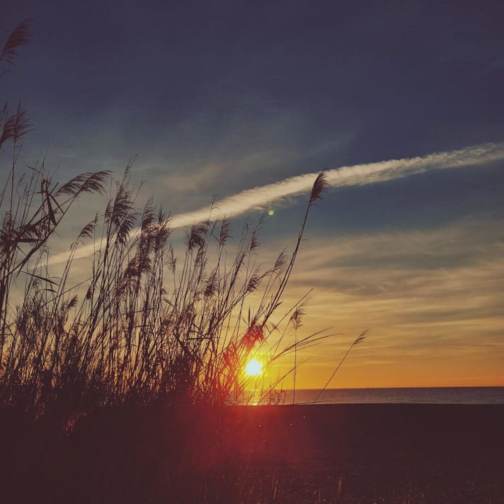Picture of Calming Piano Feelings
