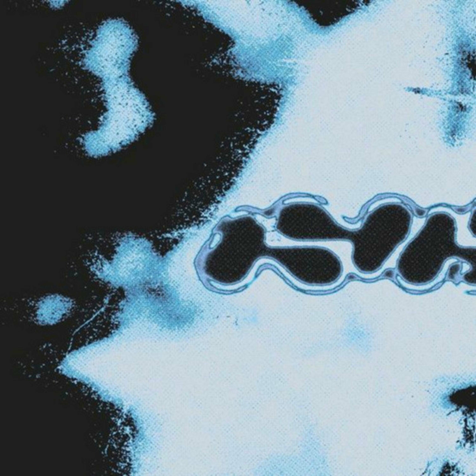 Artist picture of ledimiknight