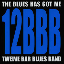 Picture of Twelve Bar Blues Band