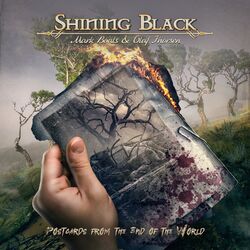 Picture of Shining Black