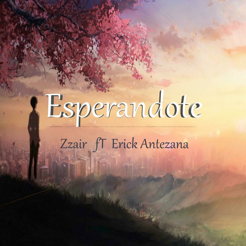 Photo de l'artiste Zzair