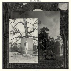 Picture of Black Bile