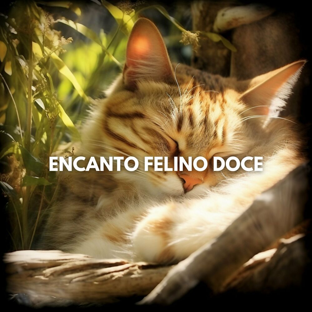 Picture of Música Para Gatos
