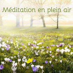 Picture of Oasis de Méditation
