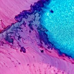 Picture of Foam and Sand