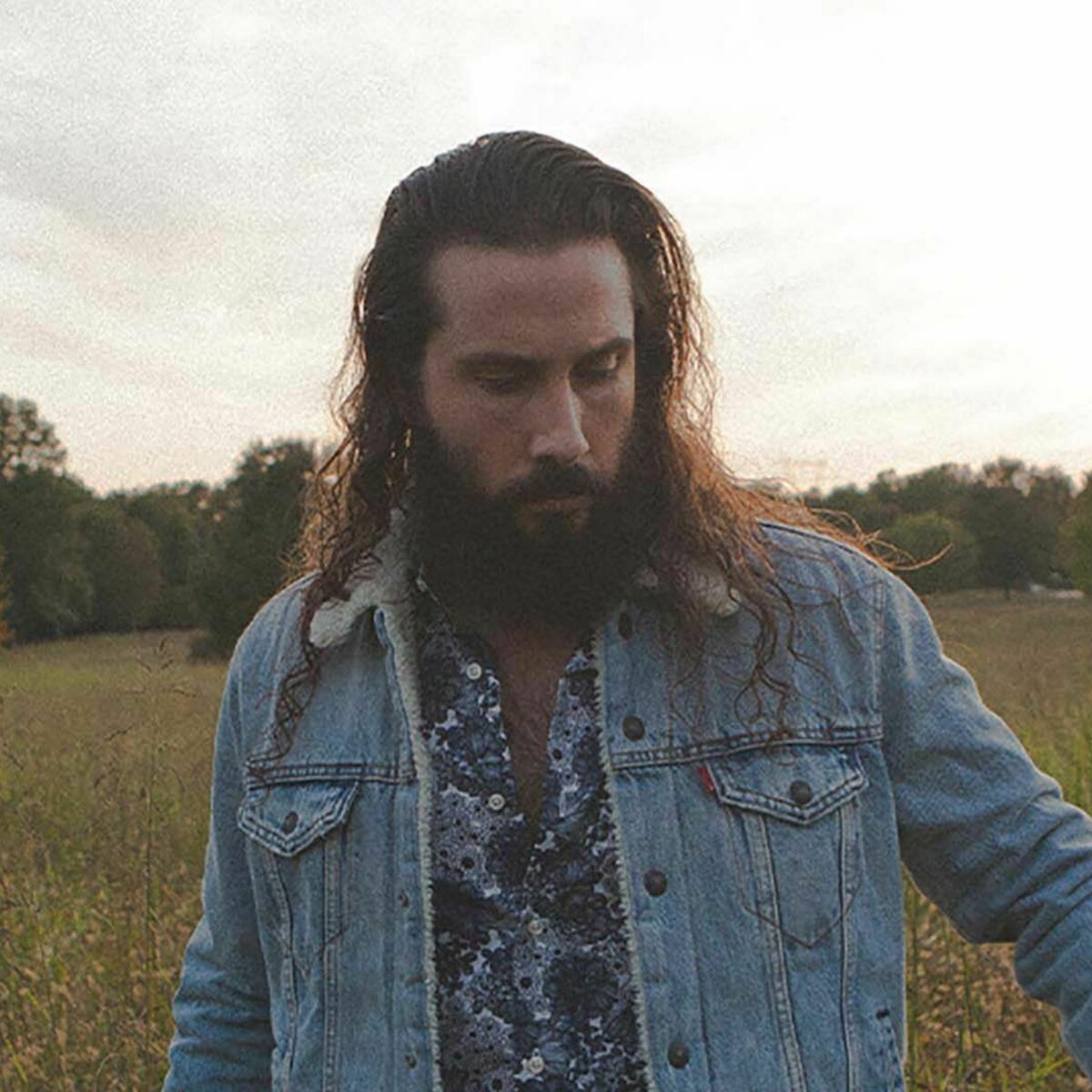 Artist picture of Avi Kaplan