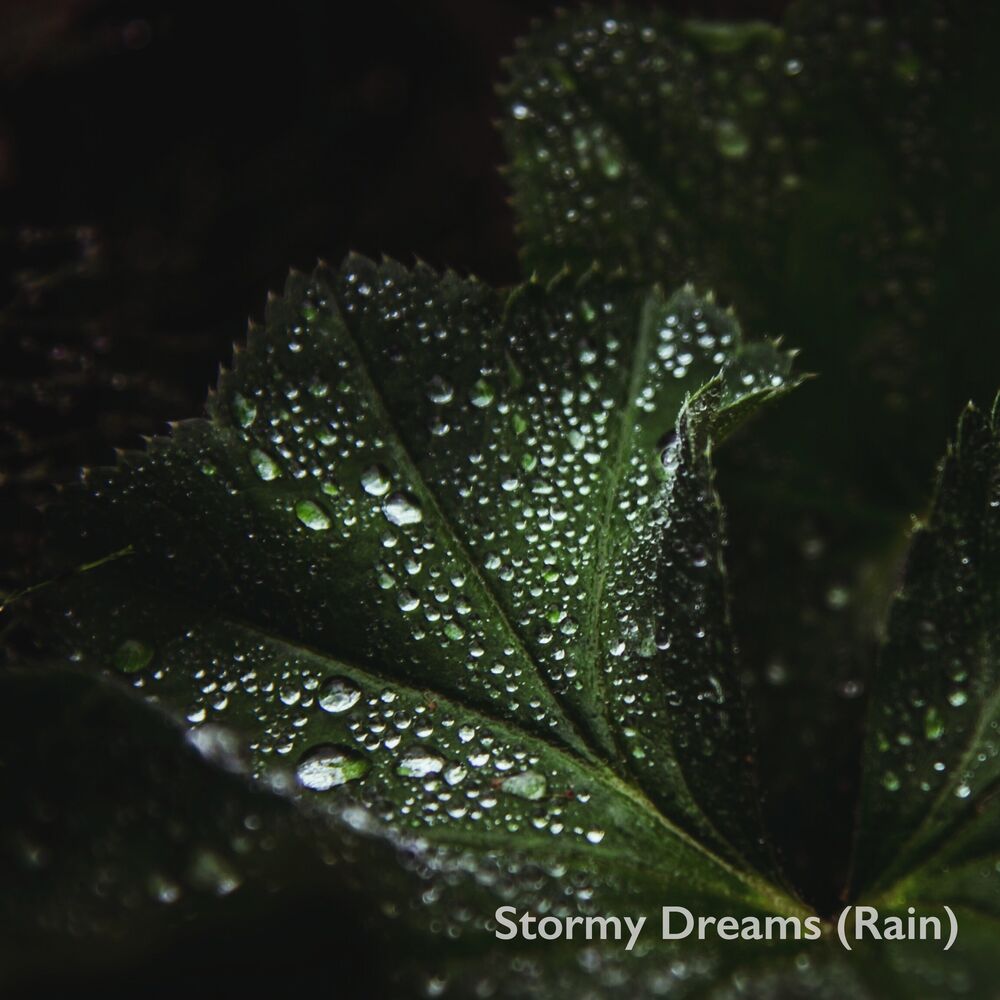 Picture of Stormy Dreams (Rain)