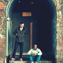 Picture of Toyboy & Robin