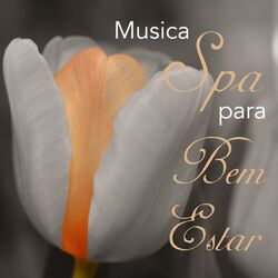 Picture of Relaxamento & Meditação Clube