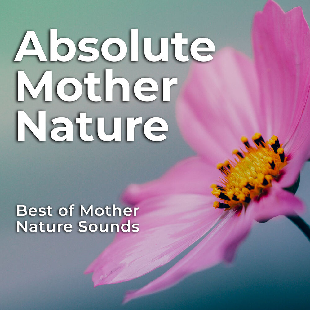 Picture of Best of Mother Nature Sounds
