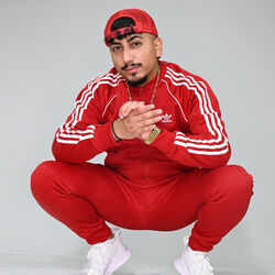 Picture of BRADO