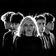 Image of Blondie